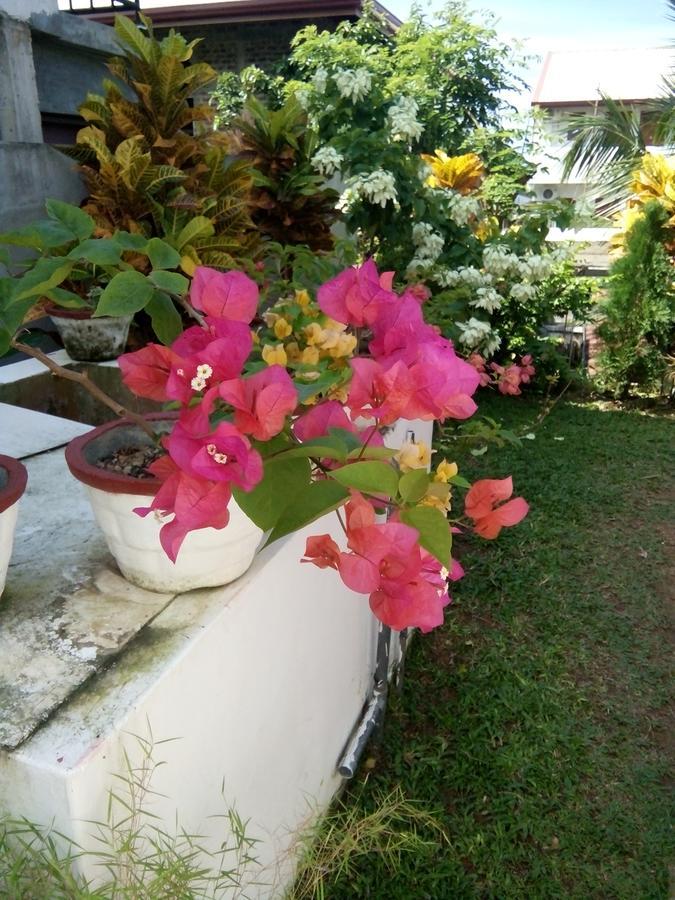 Bentota Orchid House Bed and Breakfast Buitenkant foto