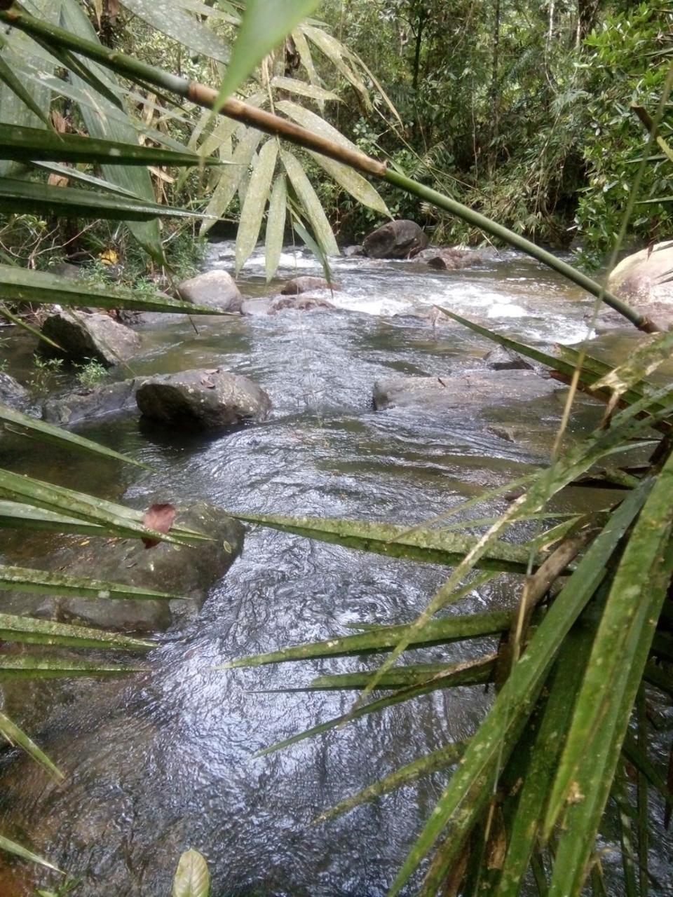 Bentota Orchid House Bed and Breakfast Buitenkant foto